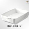 Rect Dish 13 inches