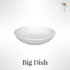 Big Dish